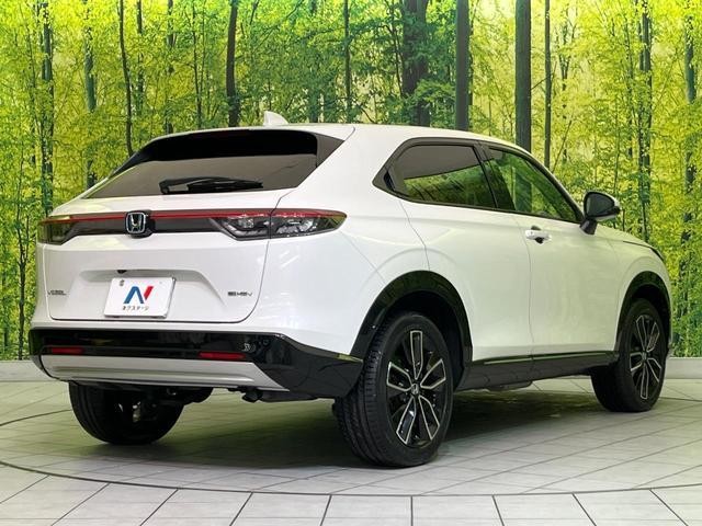23945136_carP_l_12.jpg