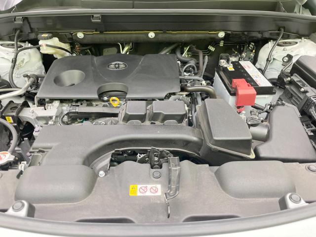 22242274_carP_l_16.jpg