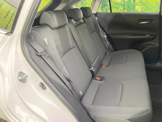 22242274_carP_l_19.jpg