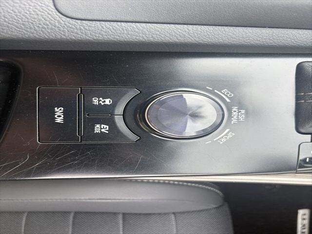 07.jpg