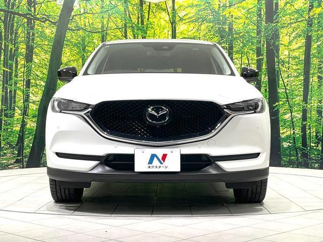 20159747_carP_l_8.jpg