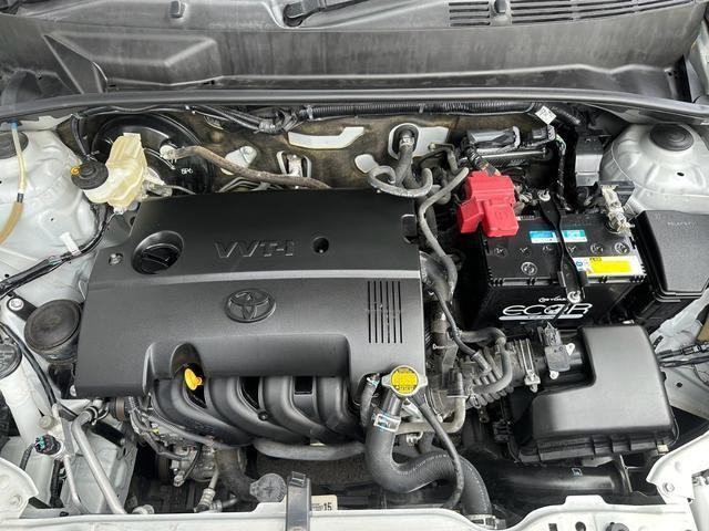 26078730_carP_l_19.jpg