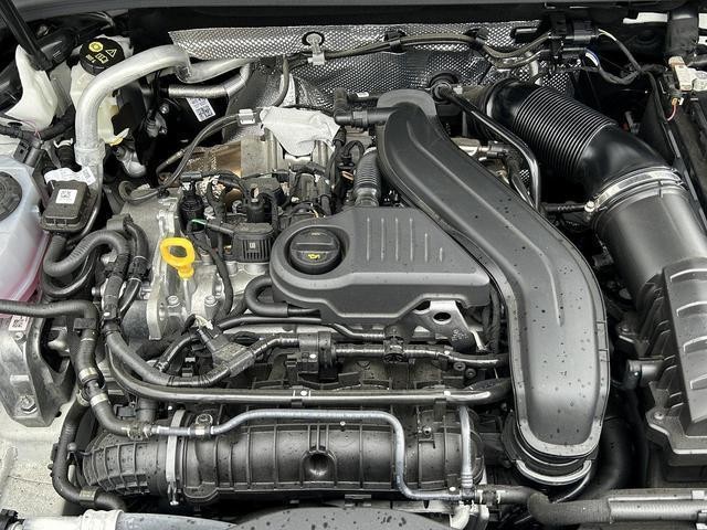 24823496_carP_l_7.jpg