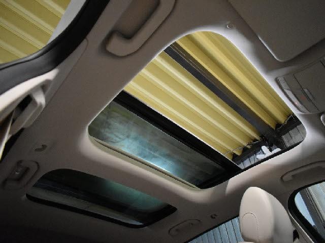 26699011_carP_l_10.jpg