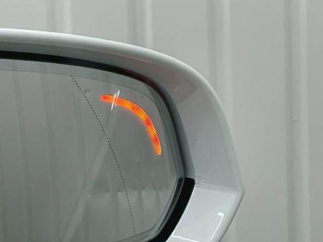 06.jpg