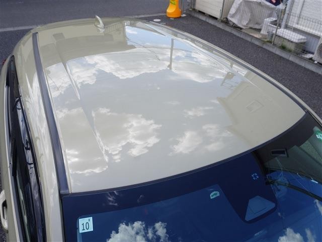 25829943_carP_l_10.jpg