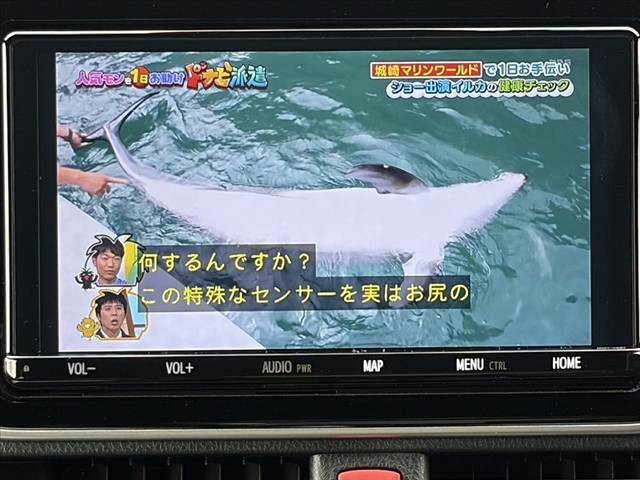 03.jpg
