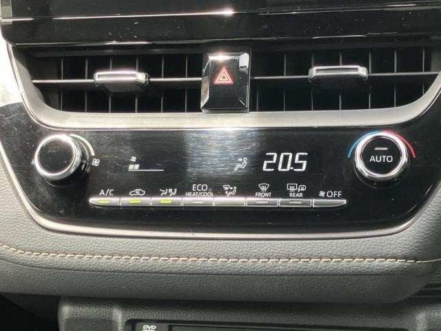 24345689_carP_l_16.jpg