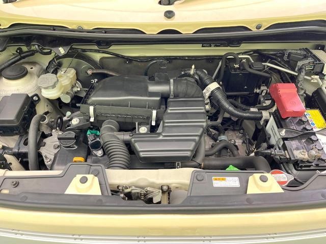 24238834_carP_l_16.jpg