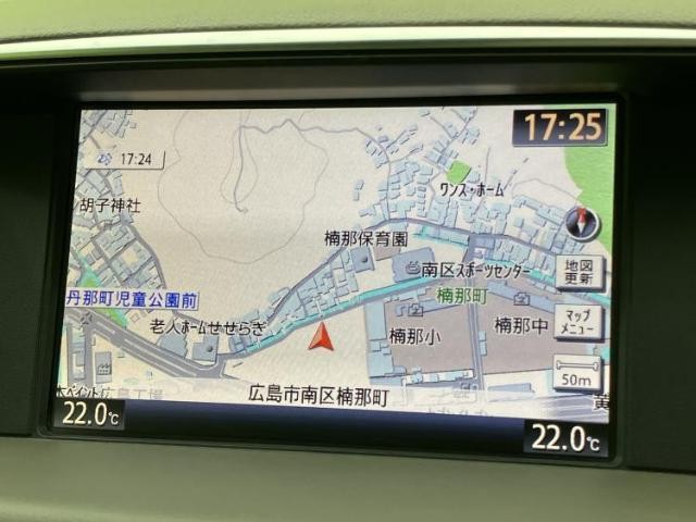 26876435_carP_l_19.jpg
