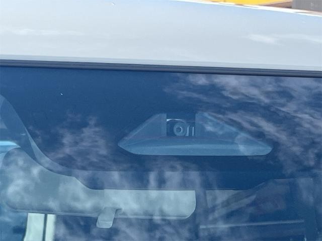 25030555_carP_l_8.jpg