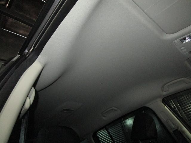 23391290_carP_l_16.jpg
