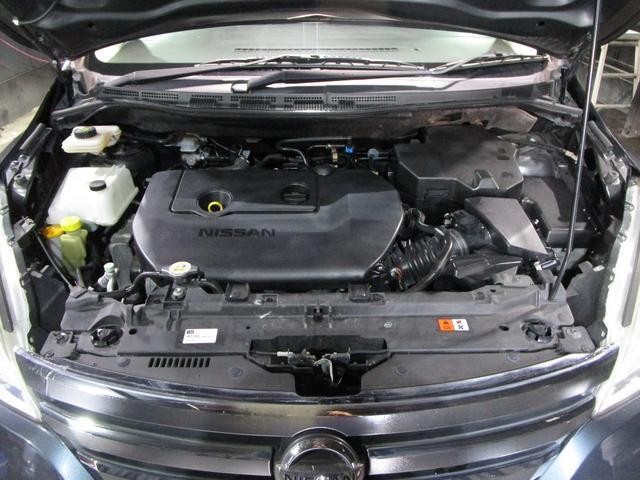 23391290_carP_l_20.jpg