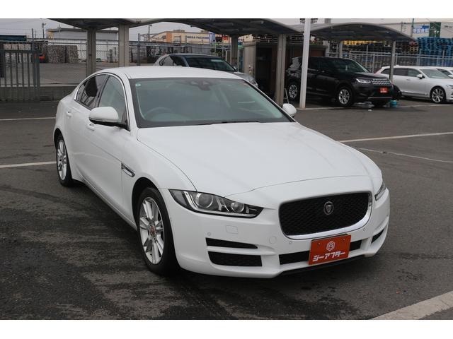 22713629_carP_l_1.jpg