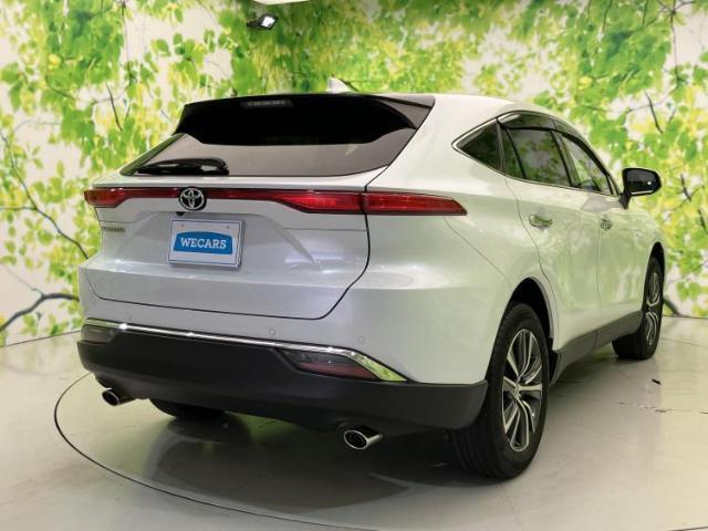21732247_carP_l_15.jpg