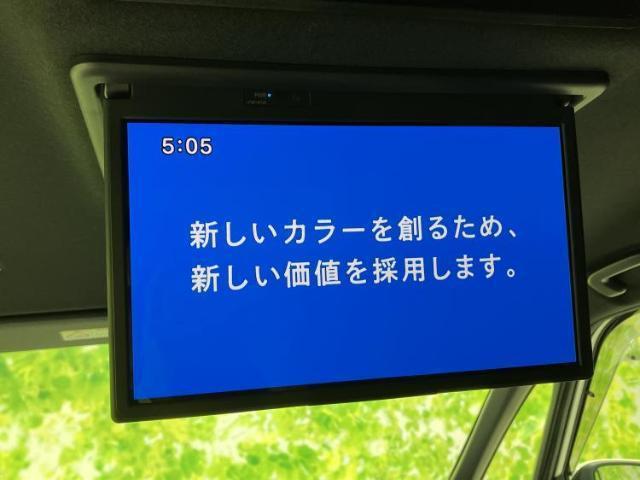 21739842_carP_l_8.jpg