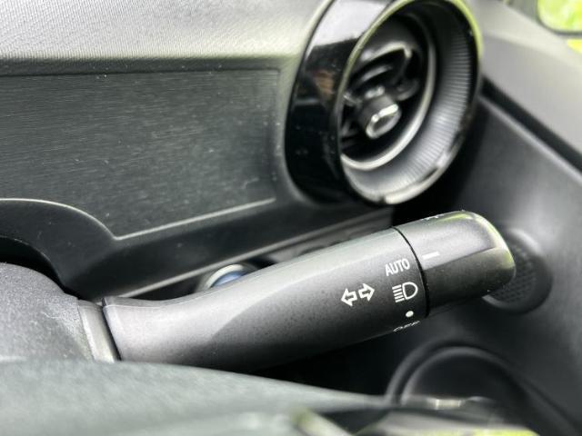 21752032_carP_l_12.jpg