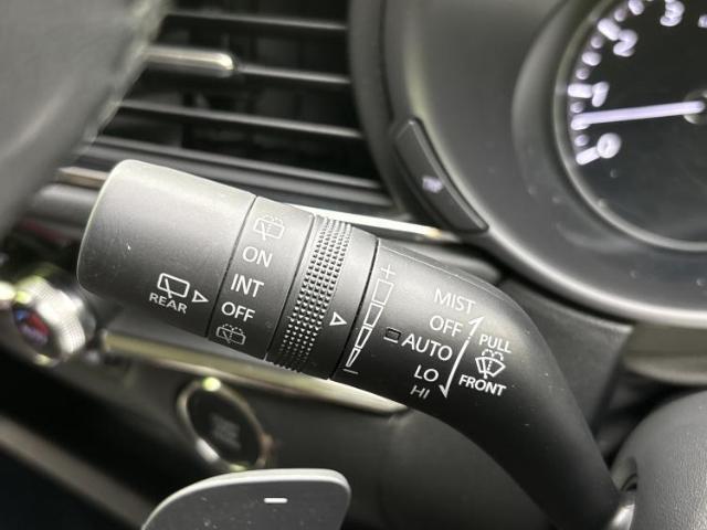 21752098_carP_l_11.jpg