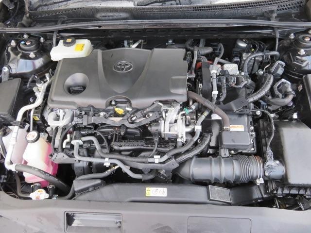 24416059_carP_l_5.jpg