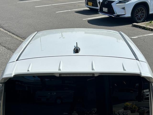 24050675_carP_l_7.jpg