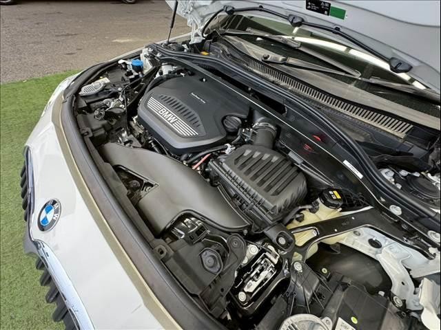 23372145_carP_l_6.jpg