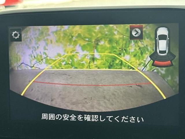 25225779_carP_l_7.jpg