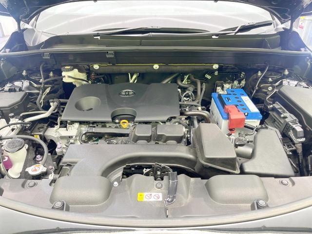 25571531_carP_l_12.jpg