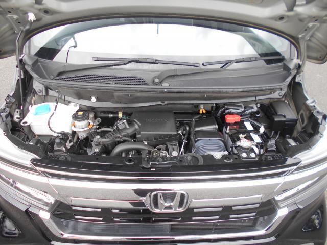 22146539_carP_l_17.jpg