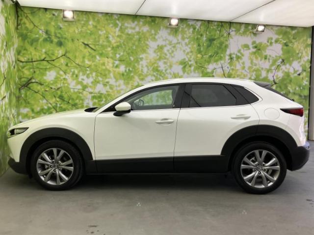 22096608_carP_l_3.jpg