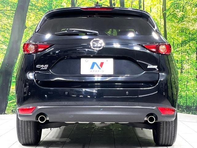 24155584_carP_l_11.jpg