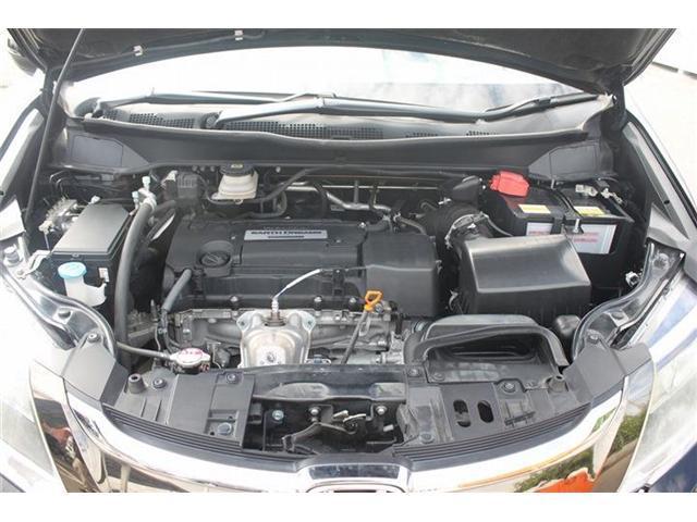 24495468_carP_l_18.jpg