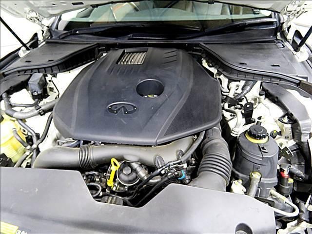 23710172_carP_l_20.jpg