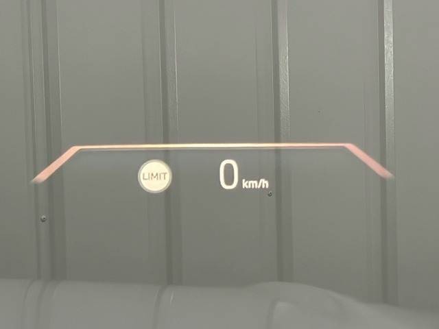 06.jpg