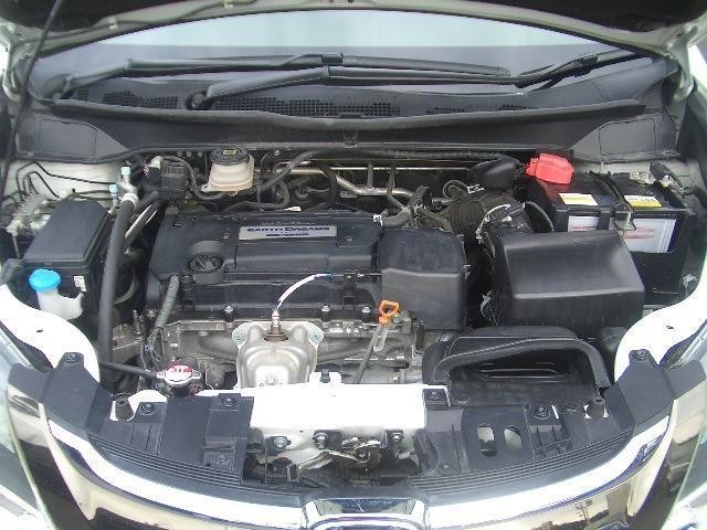 23220727_carP_l_5.jpg