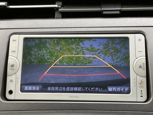 24354558_carP_l_6.jpg