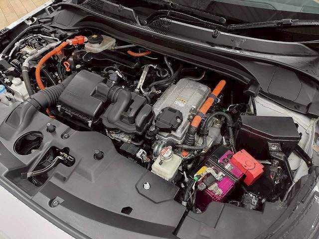 23410549_carP_l_11.jpg