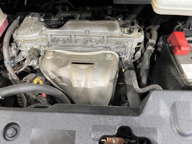 19583672_carP_l_16.jpg