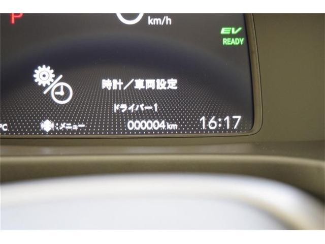 22704234_carP_l_8.jpg