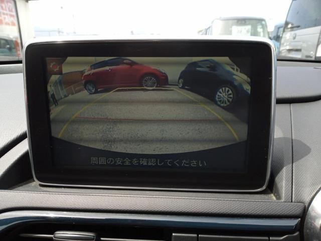 23491980_carP_l_7.jpg