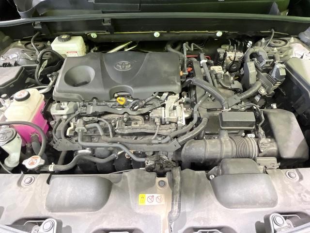 24051269_carP_l_16.jpg