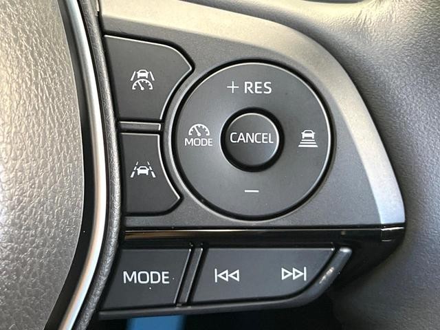 26623067_carP_l_14.jpg