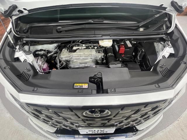 22280869_carP_l_20.jpg