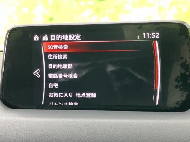24365532_carP_l_5.jpg