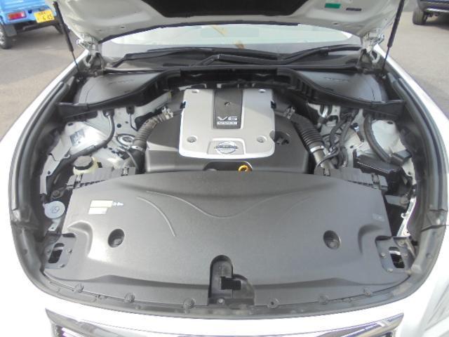 13969387_carP_l_13.jpg
