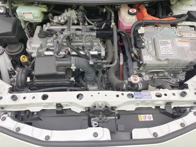 24380474_carP_l_16.jpg