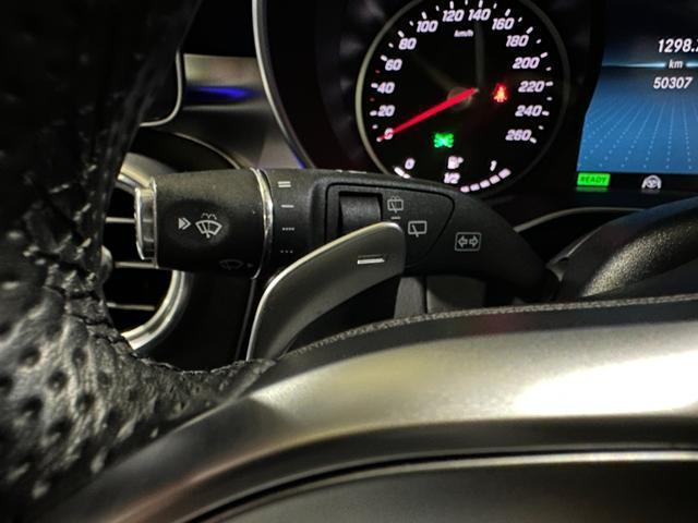 24461115_carP_l_7.jpg