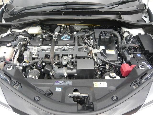 23610102_carP_l_5.jpg