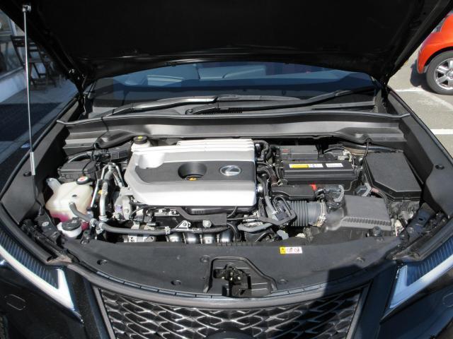 14701499_carP_l_17.jpg