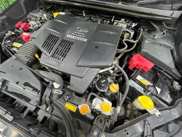 24401611_carP_l_18.jpg