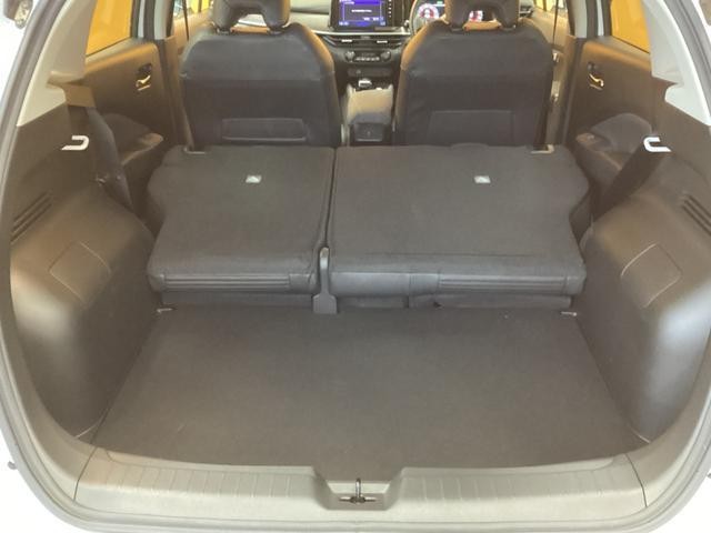 24416464_carP_l_11.jpg